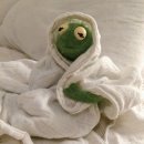 굿모닝24 이미지