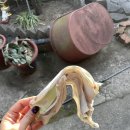 진하슈퍼 | <여름 명소 겨울에 가본 찐 후기 : 울산 진하해수욕장>