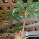 골드코스트 호텔 이미지