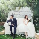 스드메 업체 고르기 / 스드메 견적 상담 / 마이셀프웨딩 계약