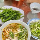 김빈「달팽이」 | 나트랑 여행 1일차 김해공항 깜란공항 그랩 레갈리아골드호텔 탄응안