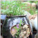 숲속의 휴식 이미지