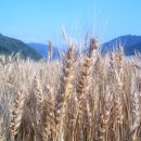 영근농장 이미지