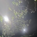 (주)유즈드림 이미지