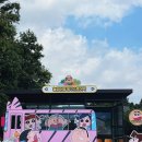 청수유치원 | 제주 짱구 데이트 : 한경면 대형 카페 감귤밭 속 이색체험 카페 &#39;르벙쓸레브’ 팝업스토어 솔직후기