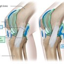 오금한의원 이미지