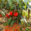 삼흥공업사 이미지