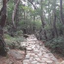 경주-남산 (삼릉-상선암-금오산-이영재-칠불암-고위봉-이무기능선-용장마을) 이미지