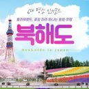 플라워로드 티스토리
