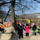 자연숲유치원 이미지