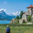 사이서가 이미지