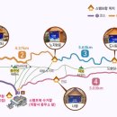 달마스테이 이미지