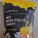 메가폴리스1로 | 프로메가폴리스 캔디