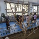 천진마을 | 천진 동물원 중국 텐진 여행 콘래드 근처 가볼만한곳