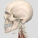 겟바디핏 이미지