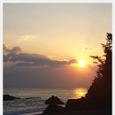 도화동산 이미지