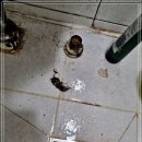 광암동 화장실 이미지