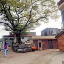 우산리마을회관 이미지