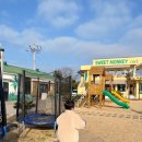 몽키바나나 | 제주 서쪽 아이랑 가볼만한 곳｜ 바나나 체험 스위트 몽키 후기