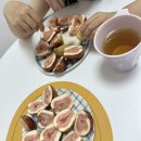 수아음악교습소