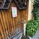 EVEN Hotel | [공지] [발리 꾸따] Hotel Terrace at Kuta 호텔...공항 근처 3만원대 가성비 호텔 추천, 내돈내산 후기)