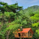 트리하우스 이미지