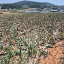 강우축산 이미지