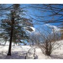 완전식품 - 19896 | 완전식품