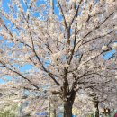 남대천제방길 이미지