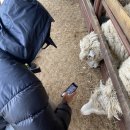 선규목장 이미지