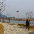 세종도서관 이미지