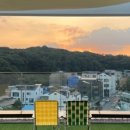 홀레스트