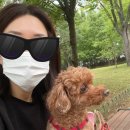 꽃우물공원 이미지