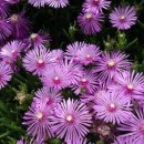 솔빛학교 이미지