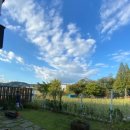 양지포레스토리 이미지