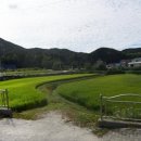 박이숙공인중개사사무소 이미지