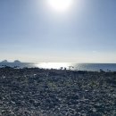 법환포구횟집식당 이미지