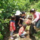 옥성농장 이미지