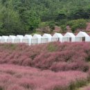 무장농협하나로마트 이미지