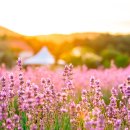 구미캠핑장 화장실 이미지