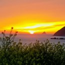 잠자리펜션민박 이미지