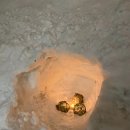 스시슌 | Sapporoㅣ삿포로 여행 오타루 스시 스시도코로슌 예약 메뉴 솔직후기