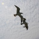 바다가 있는 풍경 이미지