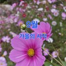 신간센