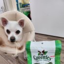 태안 동물병원 이미지