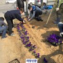 희망의 꽃밭에서 이미지