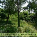 순성중학교 이미지