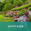 축령산자연요양원