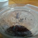 성철 농장 이미지