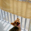 개린이미용실 이미지